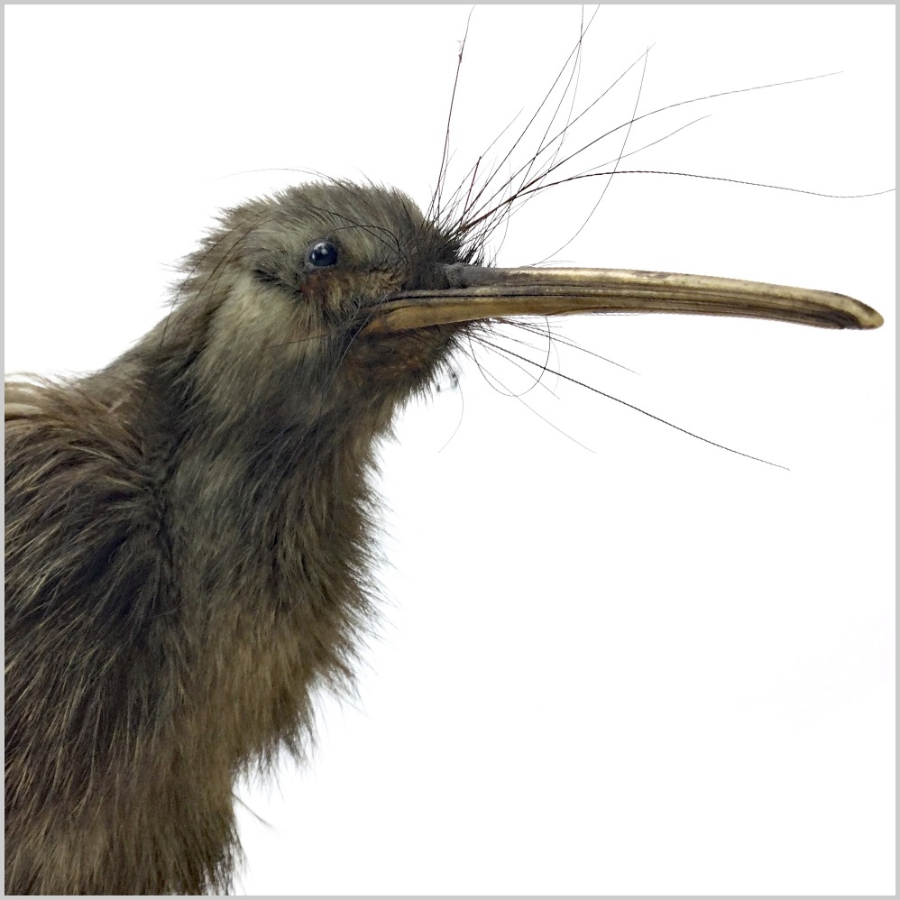 The Works of Art, Medals, Militaria & Furniture Auction